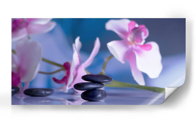 Equilibrio lila | Cuadro decorativo de Canvas Lab