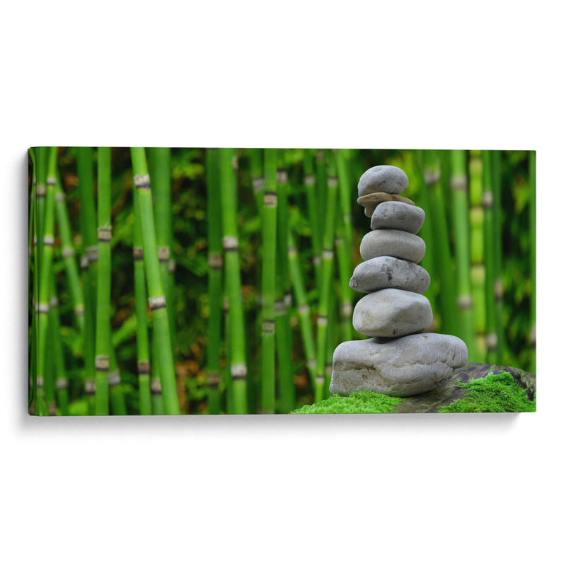 Piedras con bambú en el fondo | Cuadro decorativo de Canvas Lab