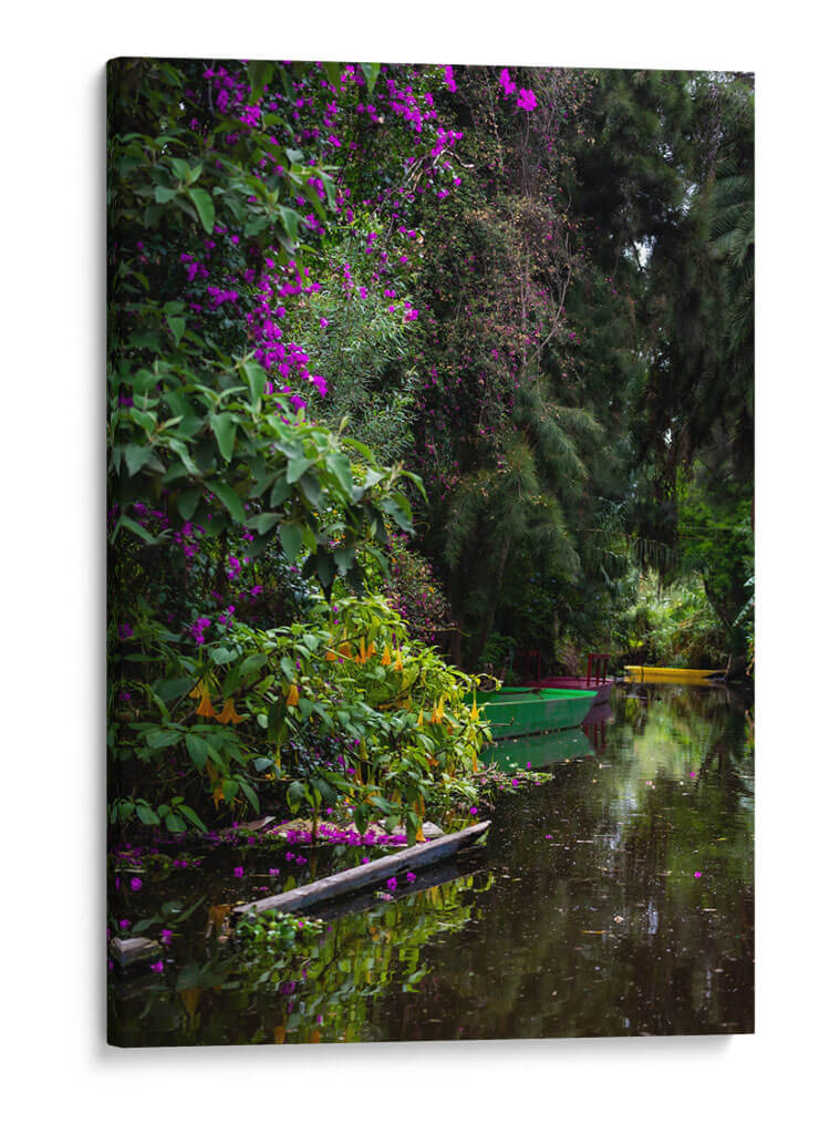 Exuberante vegetación Xochimilco - Carla Fernández | Cuadro decorativo de Canvas Lab