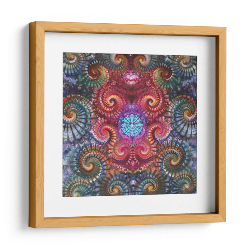 Mandala fossils | Cuadro decorativo de Canvas Lab