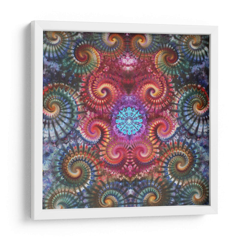 Mandala fossils | Cuadro decorativo de Canvas Lab