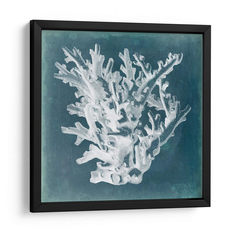 Azure Coral I - Vision Studio | Cuadro decorativo de Canvas Lab
