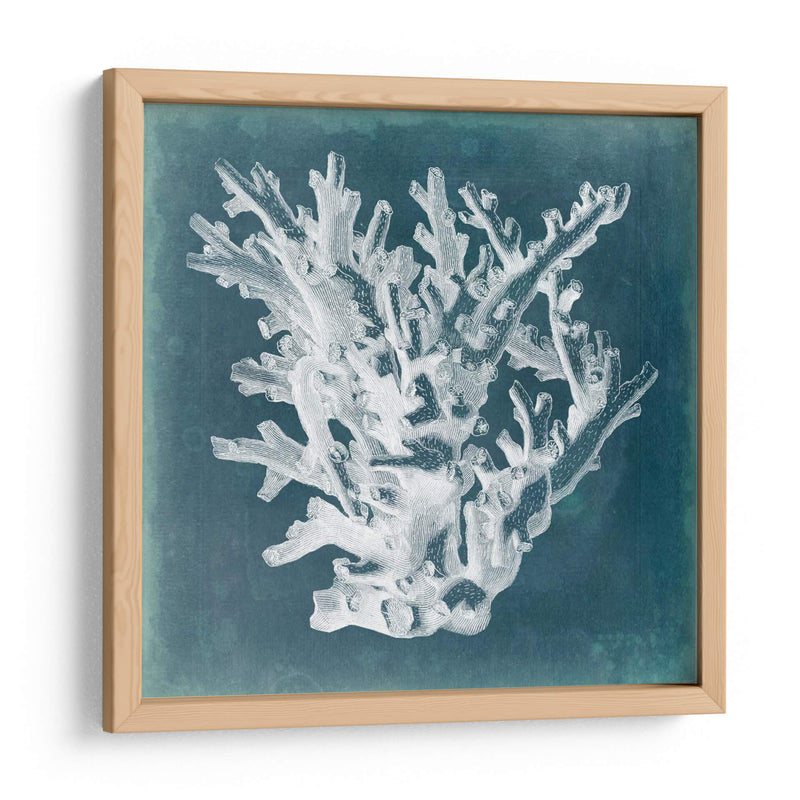 Azure Coral I - Vision Studio | Cuadro decorativo de Canvas Lab