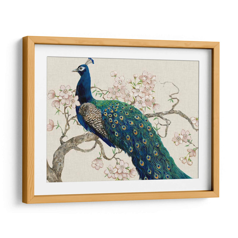 Peacock Y Blossoms Ii - Tim OToole | Cuadro decorativo de Canvas Lab