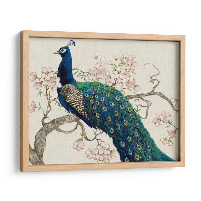 Peacock Y Blossoms Ii - Tim OToole | Cuadro decorativo de Canvas Lab