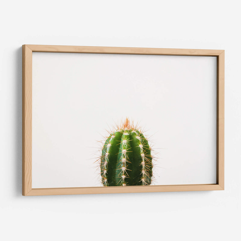 Espinazo del cactus | Cuadro decorativo de Canvas Lab