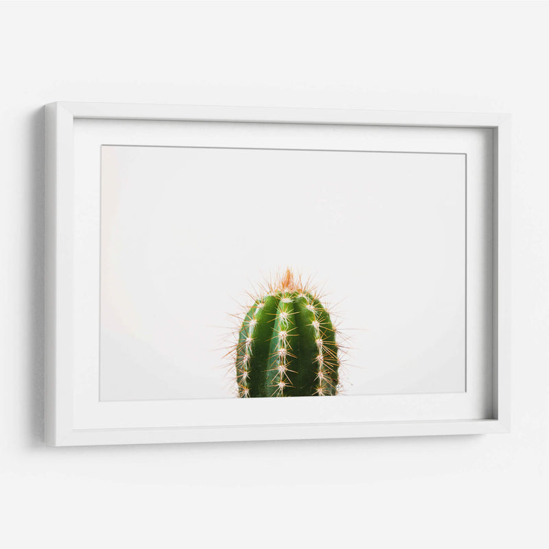 Espinazo del cactus | Cuadro decorativo de Canvas Lab