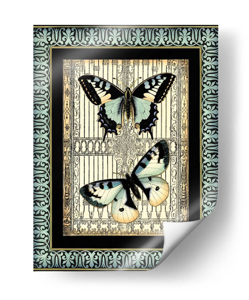 Pequeña Mariposa Fancy Ii - Vision Studio | Cuadro decorativo de Canvas Lab