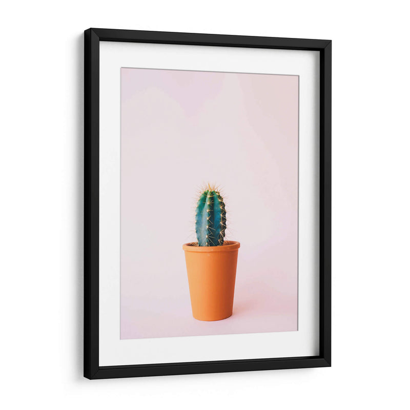 Cactus en macetita | Cuadro decorativo de Canvas Lab