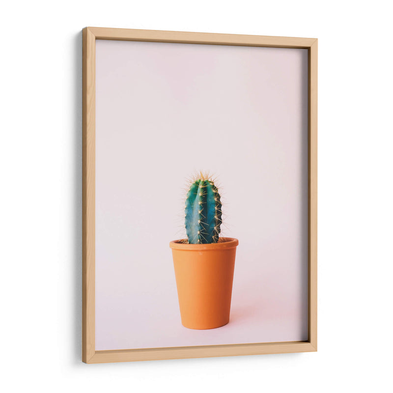 Cactus en macetita | Cuadro decorativo de Canvas Lab