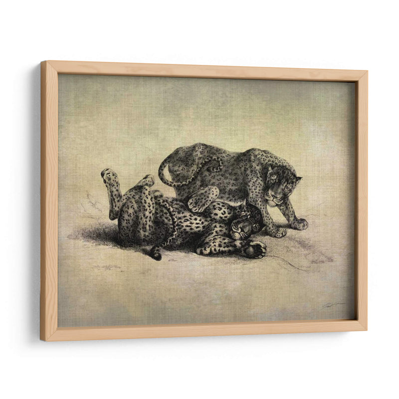 Grandes Gatos Ii - John Butler | Cuadro decorativo de Canvas Lab