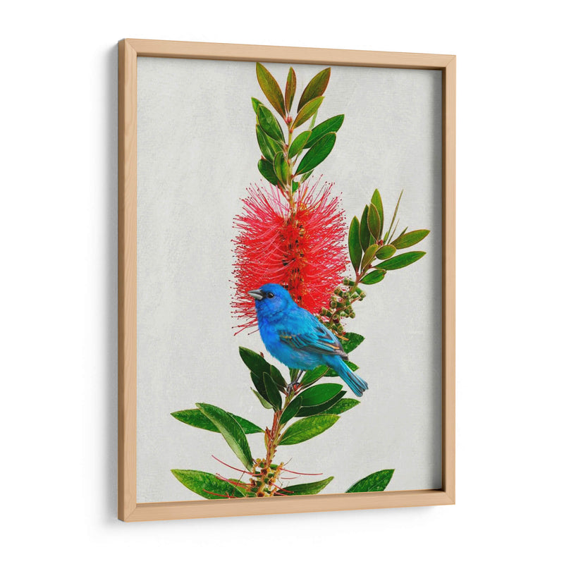 Avian Tropics Iii - Chris Vest | Cuadro decorativo de Canvas Lab
