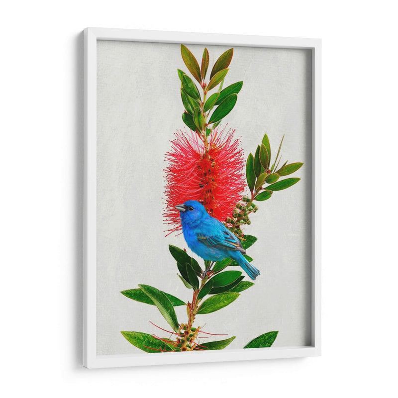 Avian Tropics Iii - Chris Vest | Cuadro decorativo de Canvas Lab