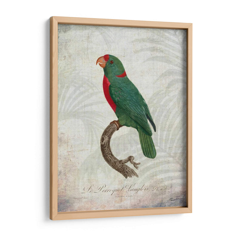 Parrot Jungle Vi - John Butler | Cuadro decorativo de Canvas Lab