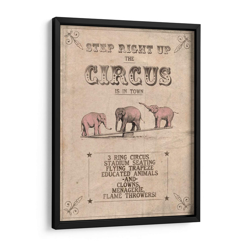 Circo Vintage I - Grace Popp | Cuadro decorativo de Canvas Lab