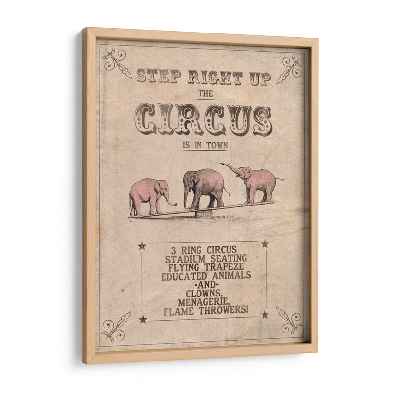 Circo Vintage I - Grace Popp | Cuadro decorativo de Canvas Lab