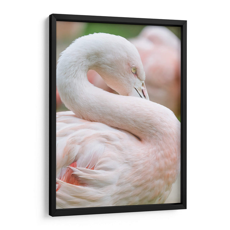 Flamingo rosa pastel | Cuadro decorativo de Canvas Lab