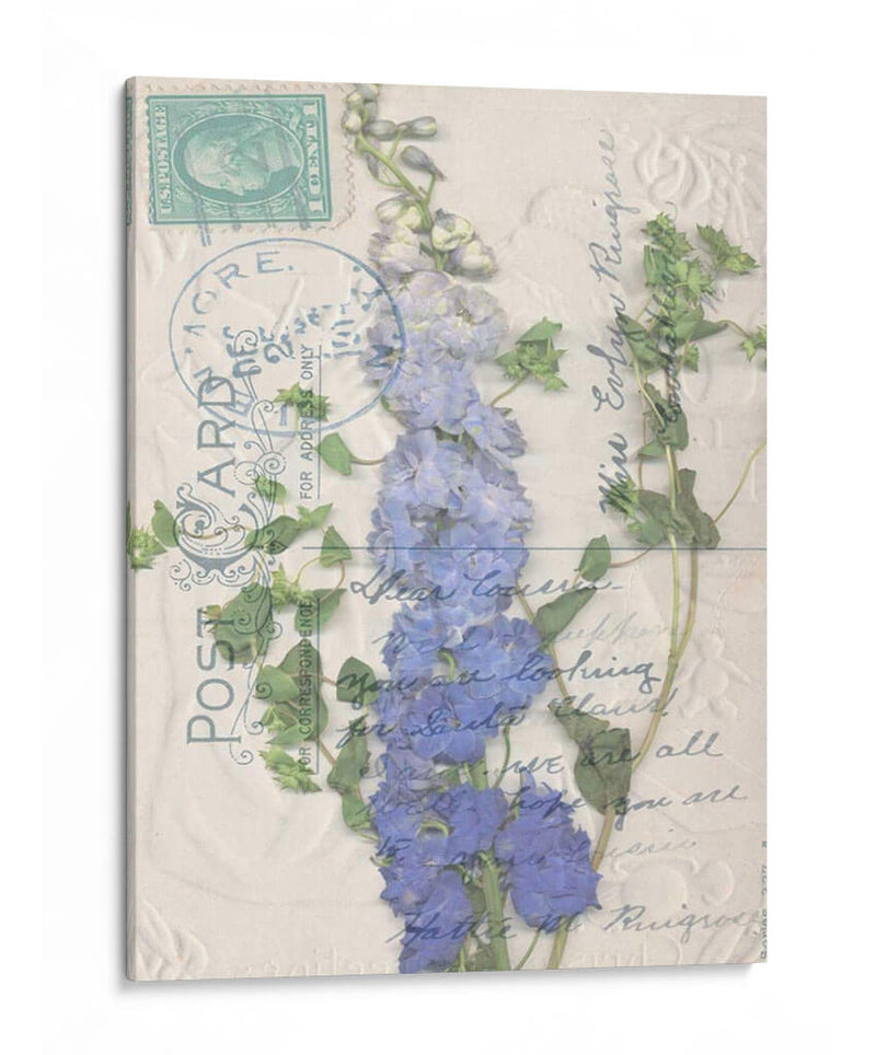 Postal Wildflowers Ii - Jennifer Goldberger | Cuadro decorativo de Canvas Lab