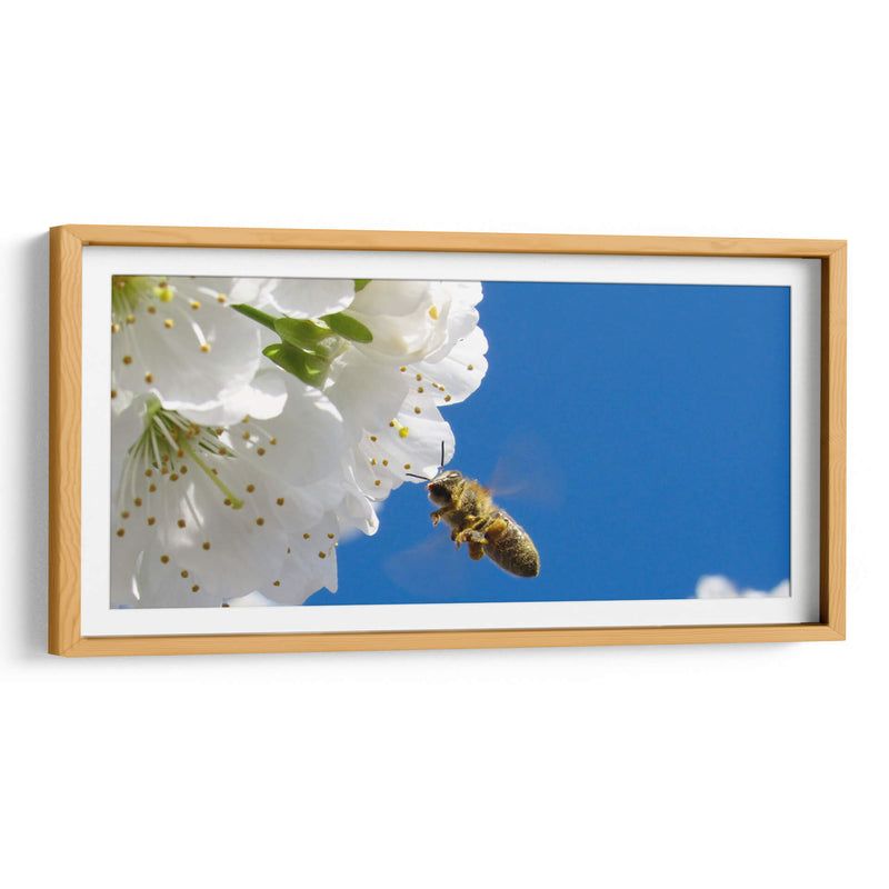 El vuelo de la abeja | Cuadro decorativo de Canvas Lab