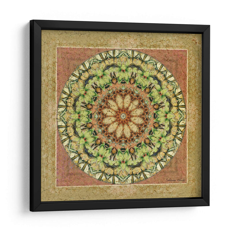 Floresis Mandala Iv - Catherine Kohnke | Cuadro decorativo de Canvas Lab