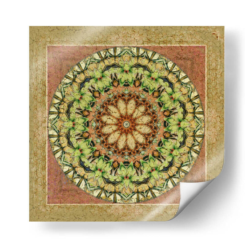 Floresis Mandala Iv - Catherine Kohnke | Cuadro decorativo de Canvas Lab