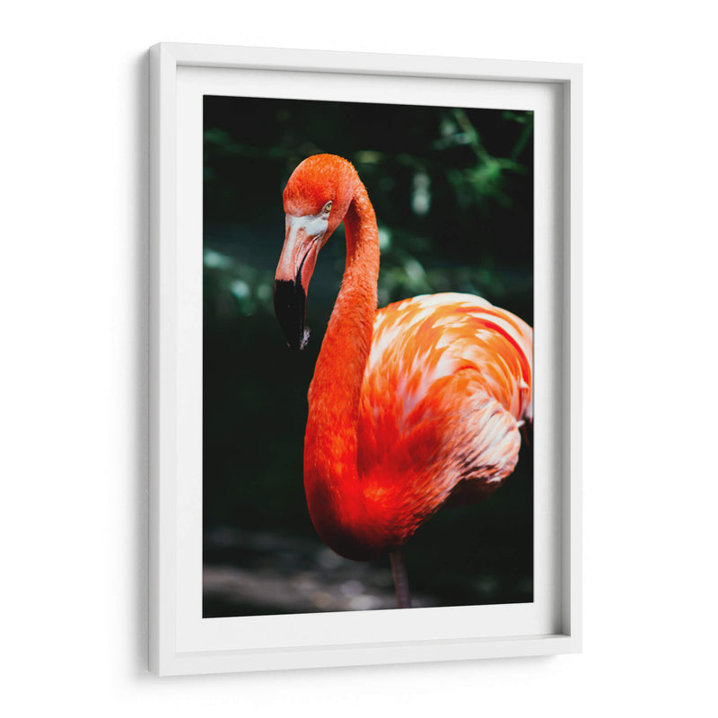 Flamingo carmín | Cuadro decorativo de Canvas Lab