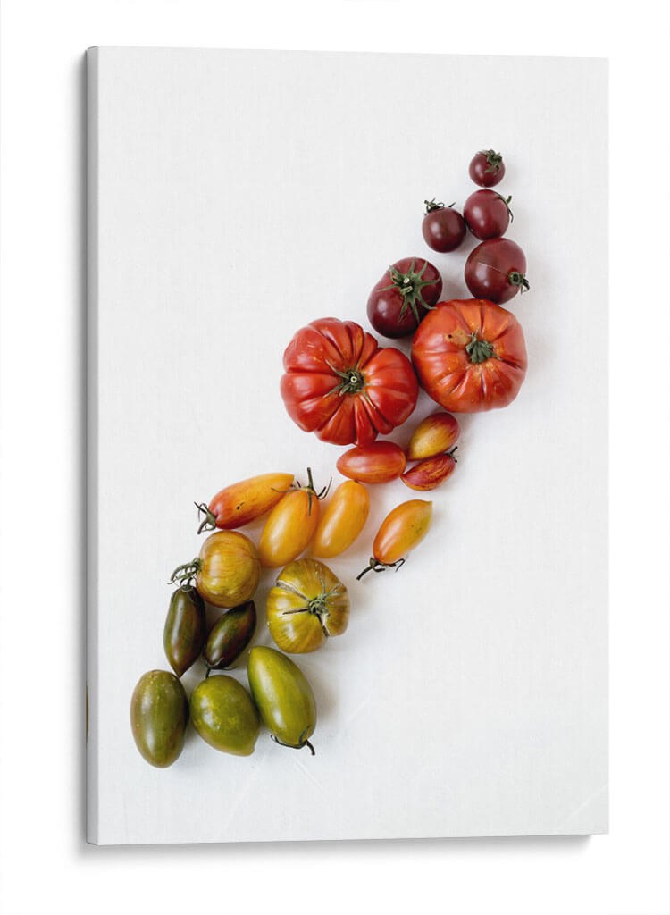 Gradiente de tomates | Cuadro decorativo de Canvas Lab