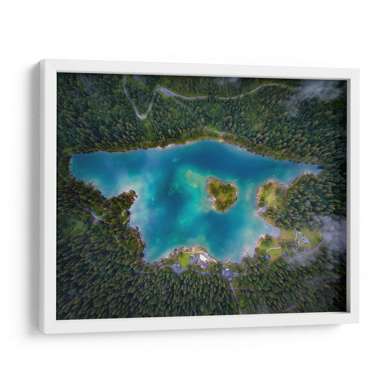 Lago rodeado por pinos | Cuadro decorativo de Canvas Lab
