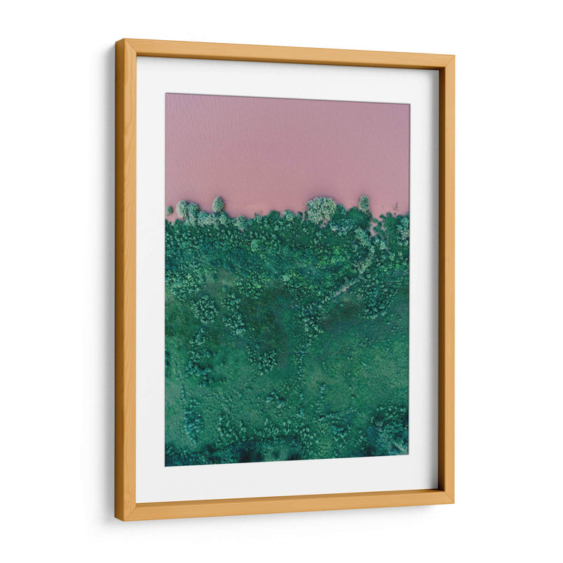 Laguna rosa y vegetación | Cuadro decorativo de Canvas Lab
