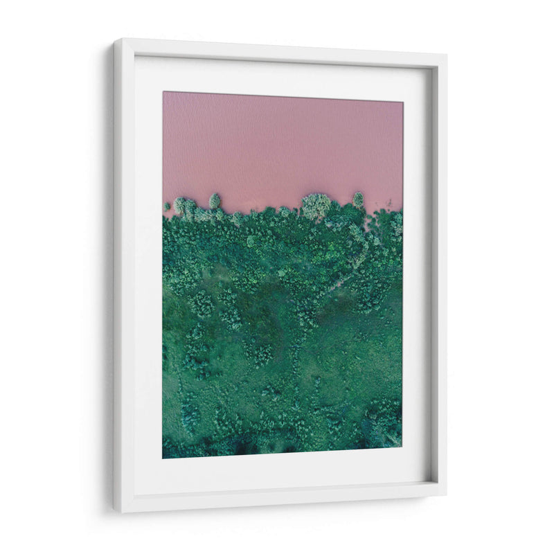 Laguna rosa y vegetación | Cuadro decorativo de Canvas Lab