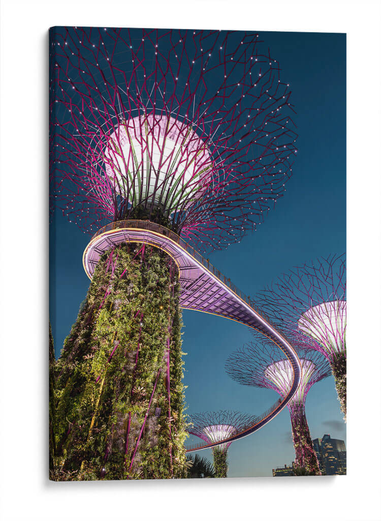 Mágico Singapur | Cuadro decorativo de Canvas Lab