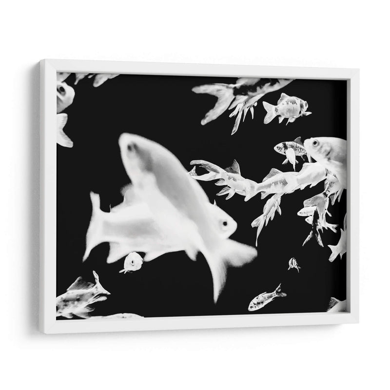 Nado blanco y negro | Cuadro decorativo de Canvas Lab
