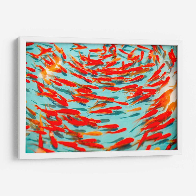 Nado naranja | Cuadro decorativo de Canvas Lab