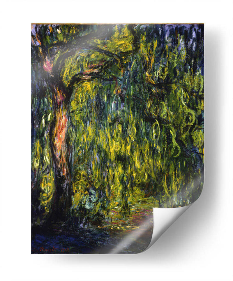Sauce llorón - Claude Monet | Cuadro decorativo de Canvas Lab