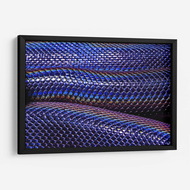 Serpiente tornasol | Cuadro decorativo de Canvas Lab