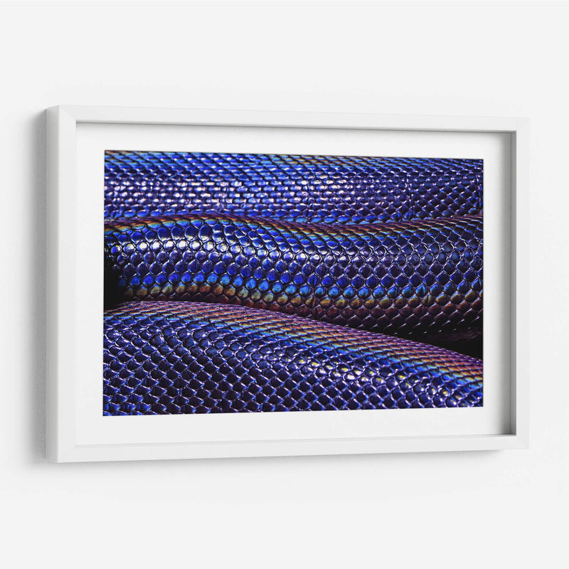 Serpiente tornasol | Cuadro decorativo de Canvas Lab