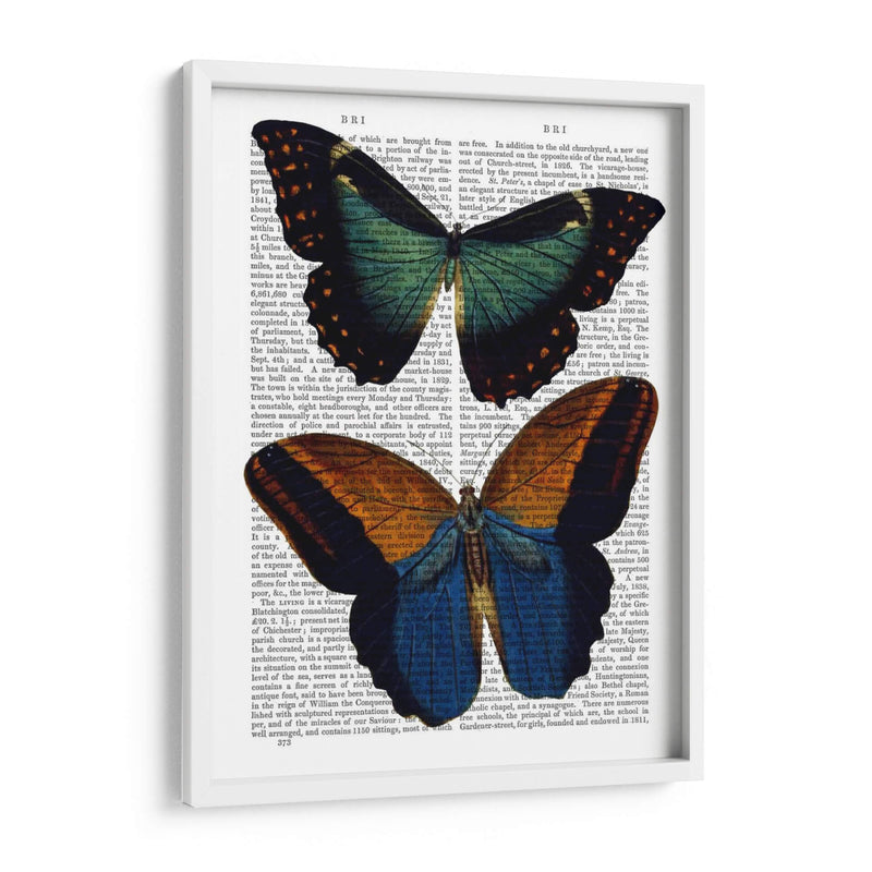 Mariposas 4 - Fab Funky | Cuadro decorativo de Canvas Lab