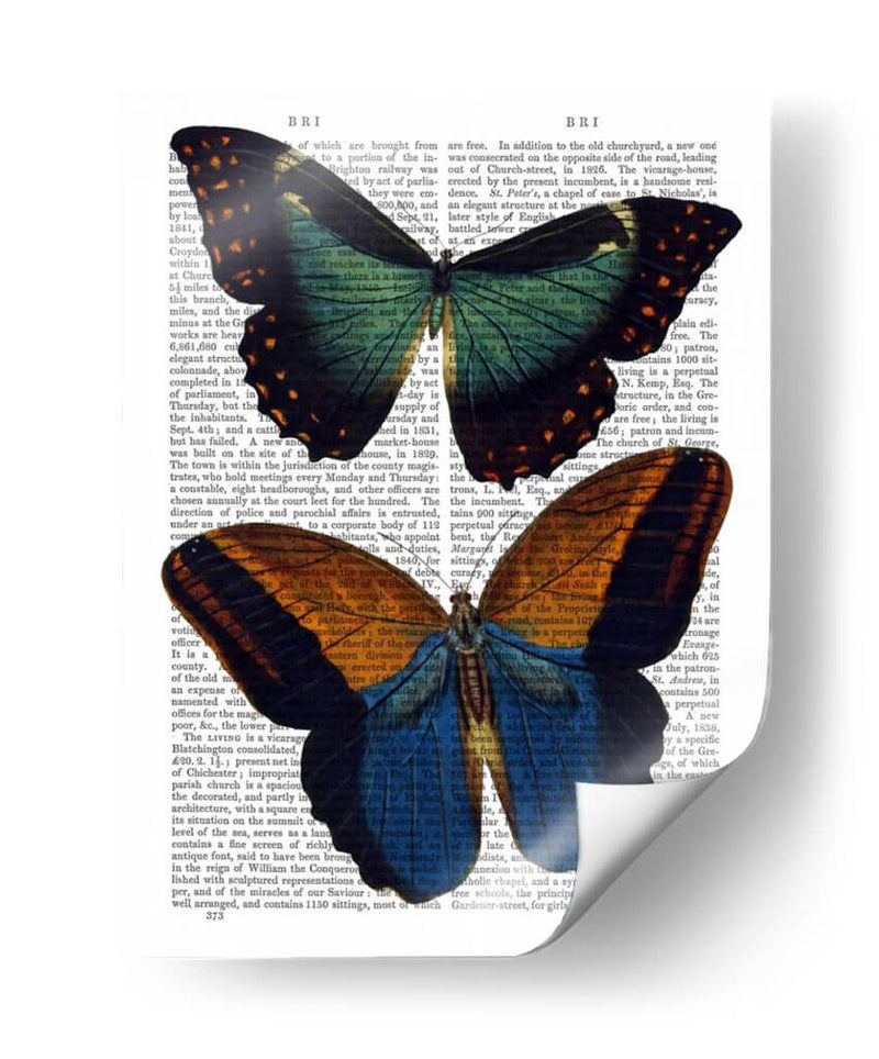 Mariposas 4 - Fab Funky | Cuadro decorativo de Canvas Lab