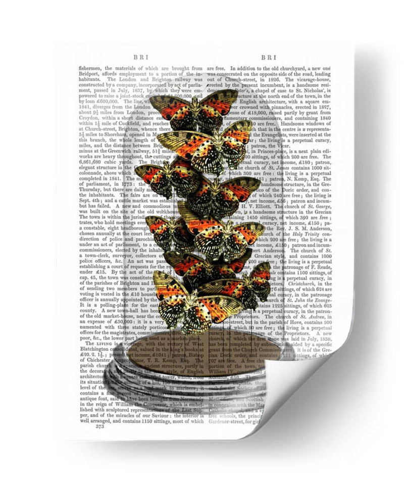 Mariposas Multicoloras En Campana. - Fab Funky | Cuadro decorativo de Canvas Lab