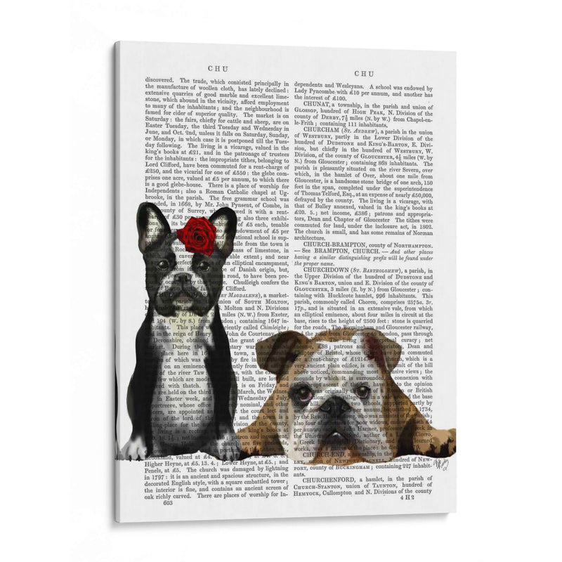 Bulldog Francés E Inglés Bulldog - Fab Funky | Cuadro decorativo de Canvas Lab