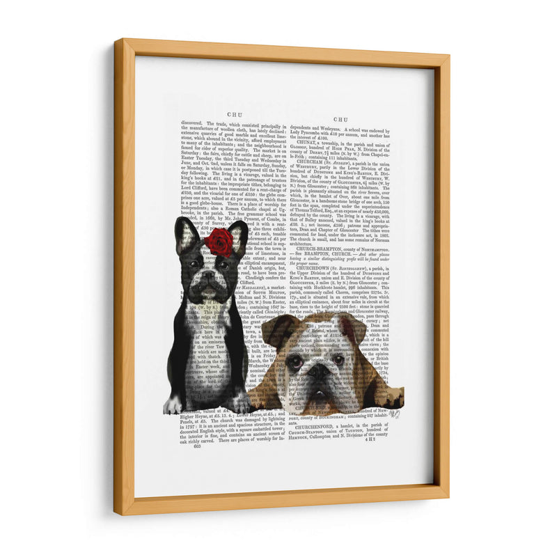 Bulldog Francés E Inglés Bulldog - Fab Funky | Cuadro decorativo de Canvas Lab