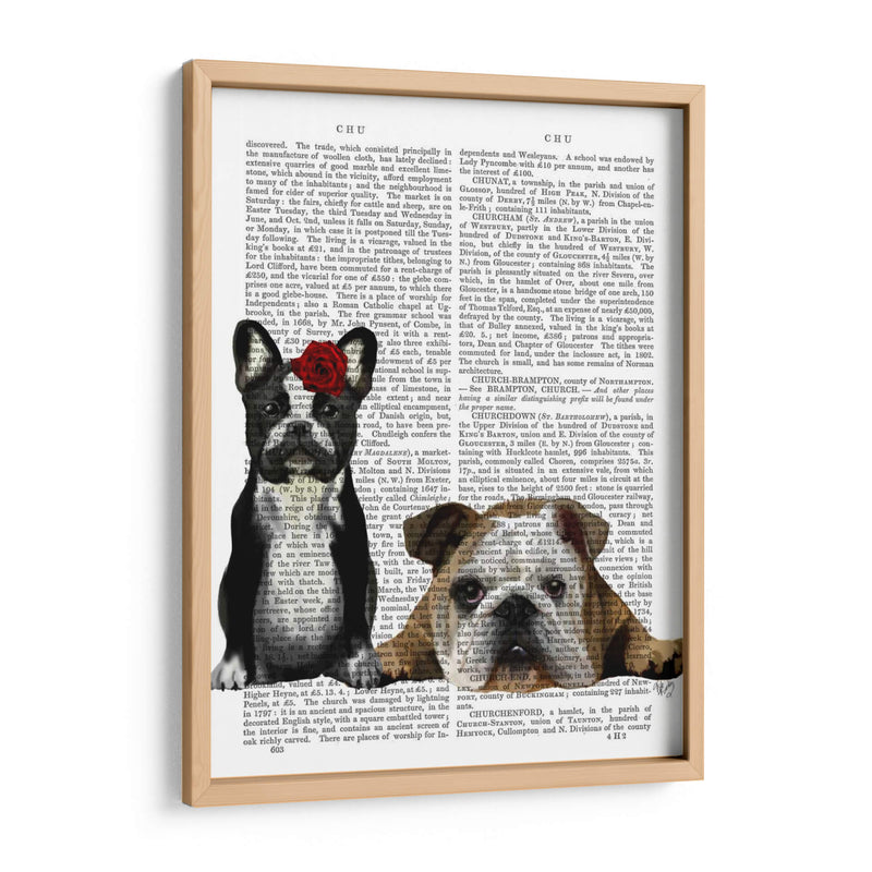 Bulldog Francés E Inglés Bulldog - Fab Funky | Cuadro decorativo de Canvas Lab