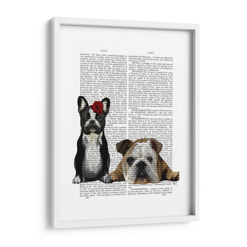 Bulldog Francés E Inglés Bulldog - Fab Funky | Cuadro decorativo de Canvas Lab