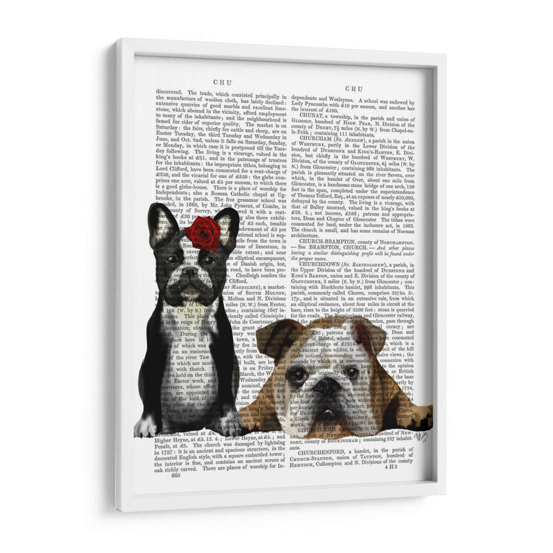 Bulldog Francés E Inglés Bulldog - Fab Funky | Cuadro decorativo de Canvas Lab