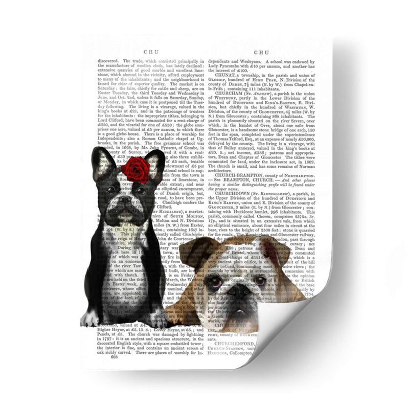 Bulldog Francés E Inglés Bulldog - Fab Funky | Cuadro decorativo de Canvas Lab