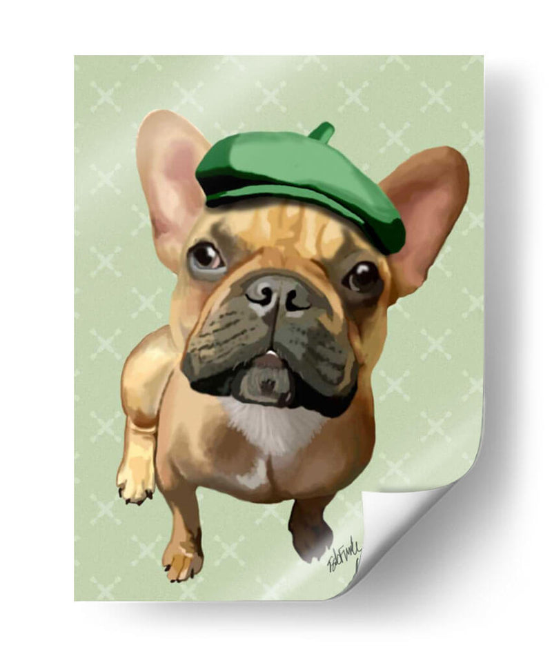 Bulldog Francés Marrón Con Sombrero Verde - Fab Funky | Cuadro decorativo de Canvas Lab