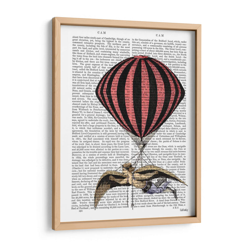 Máquina De Vuelo Vintage - Fab Funky | Cuadro decorativo de Canvas Lab