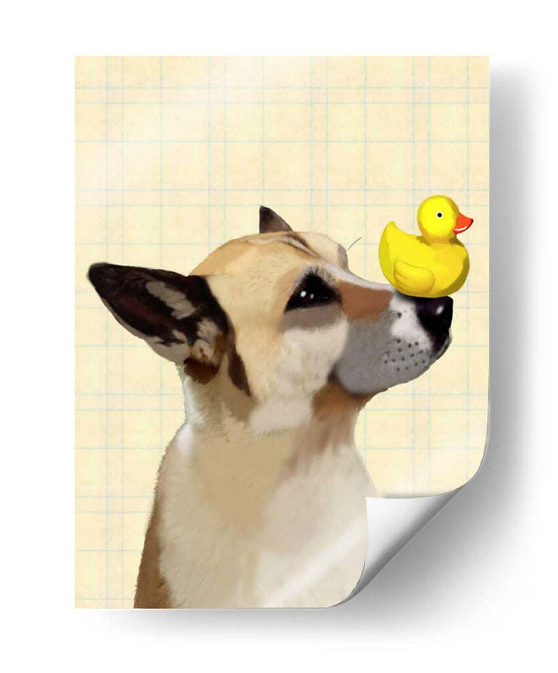 Perro Y Pato - Fab Funky | Cuadro decorativo de Canvas Lab