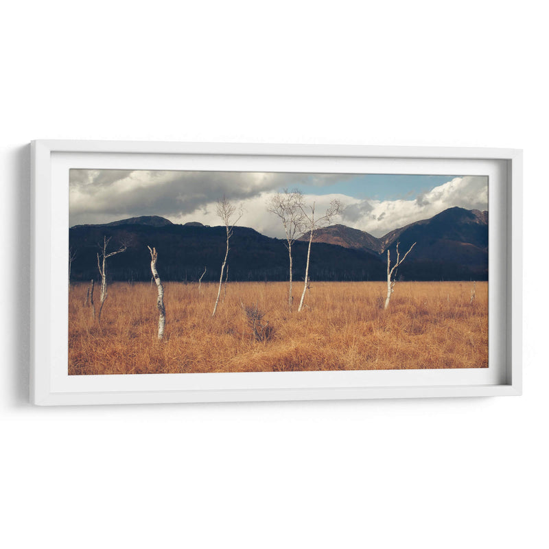 Árboles secos | Cuadro decorativo de Canvas Lab