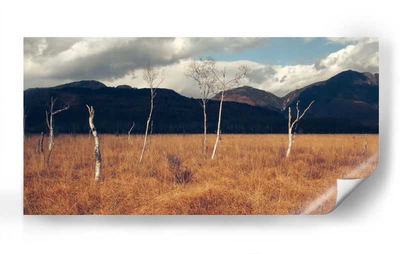 Árboles secos | Cuadro decorativo de Canvas Lab